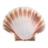 EMGA Coquille sint jacobsschelp