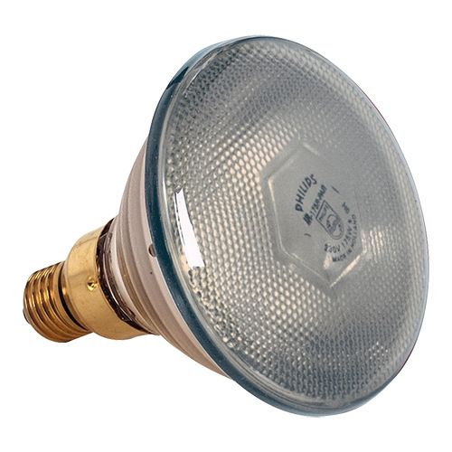 EMGa warmtelamp wit 175W