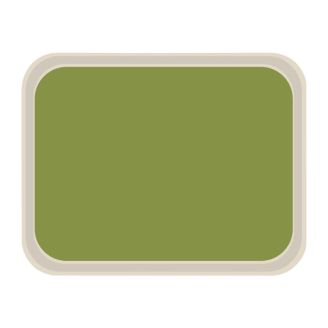 Roltex America polyester dienblad 46 x 36cm groen